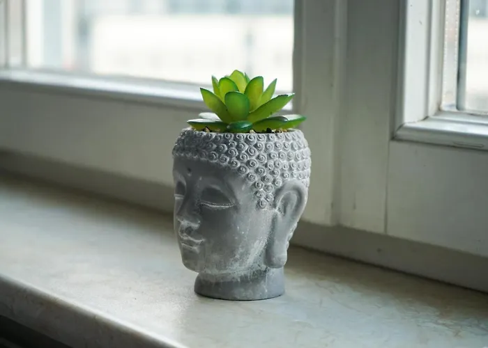 Fullhouse - - H12 - Marketplace * Jena